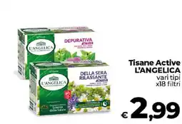 Ipercoop Radenza Tisane Active L'Angelica offerta