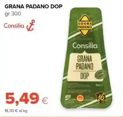 Tigre Consilia Grana Padano DOP offerta