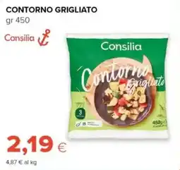 Tigre Contorno grigliato Consilia offerta