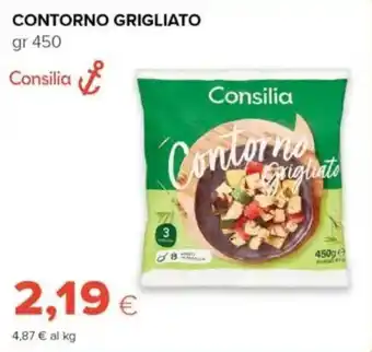 Tigre Contorno grigliato Consilia offerta