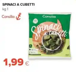 Tigre Spinaci a cubetti Consilia offerta