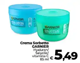 Ipercoop Radenza Crema Sorbetto Garnier offerta