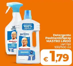 Ipercoop Radenza Detergente Pavimenti/Spray Mastro Lindo offerta