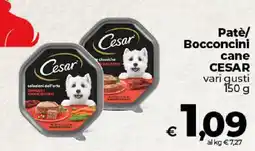 Ipercoop Radenza Patè/ Bocconcini cane CESAR offerta
