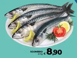 Ipercoop Radenza Sgombro offerta