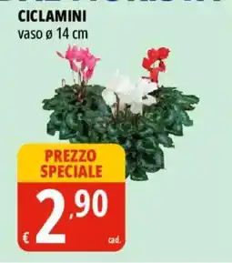 Tigros Ciclamini offerta