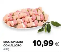 Oasi Maxi spiedini con alloro offerta