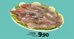 Ipercoop Radenza Totani decongelati offerta