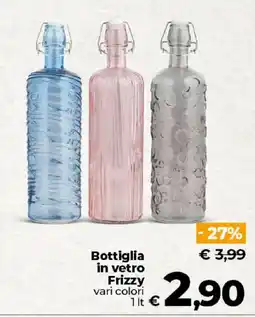 Ipercoop Radenza Bottiglia in vetro Frizzy offerta