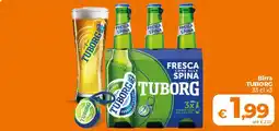Ipercoop Radenza Birra Tuborg offerta