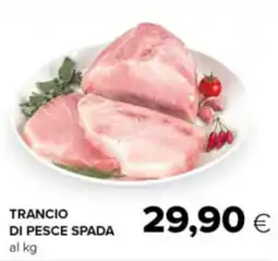 Oasi Trancio di pesce spada offerta