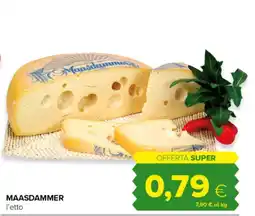 Oasi Maasdammer offerta