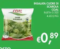 Coal City Insalata cuore di scarola Coal offerta