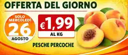 Coal City Pesche Percoche offerta