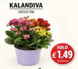 Coal City Kalandiva Vaso 06 offerta