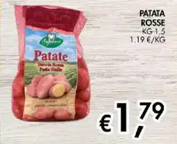 Coal City Patate Angelocci offerta