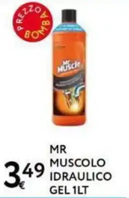 Le Mille Mr Muscle idraulico gel offerta