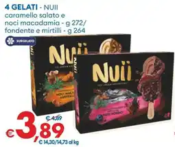 MD Discount Nuïi ice cream adventure offerta