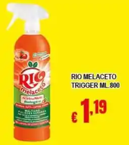 Risparmio Supermercati Rio melaceto offerta