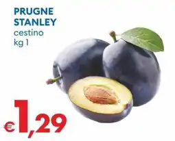 MD Discount Prugne Stanley offerta