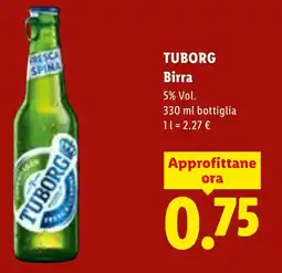 Lidl TUBORG Birra offerta