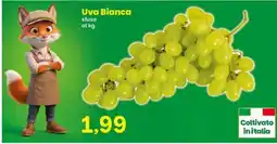 Prix Quality Uva Bianca offerta