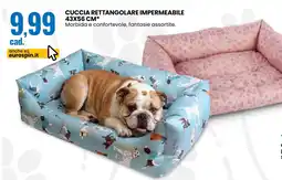 Eurospin Cuccia rettangolare impermeabile offerta