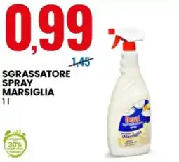 Eurospin Sgrassatore spray Marsiglia offerta