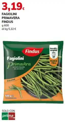 Basko Fagiolini Primavera Findus offerta