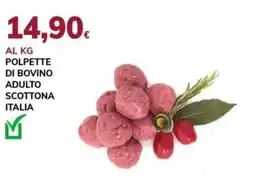 Basko Polpette di bovino adulto scottona offerta