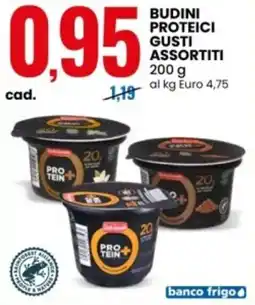Eurospin Budini proteici gusti assortiti offerta