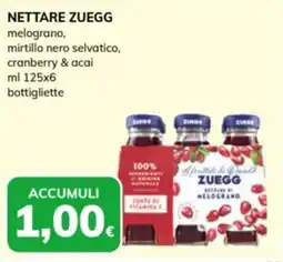 Basko Nettare Zuegg offerta
