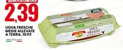 Eurospin Uova fresche medie allevate a terra offerta