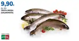Basko Trota iridea (salmonata) offerta