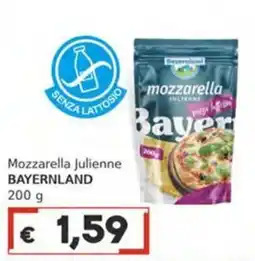 Italy Cash Mozzarella julienne bayernland offerta