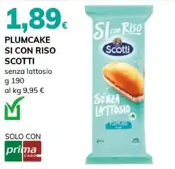 Basko Plumcake senza lattosio Scotti offerta