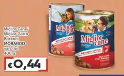 Italy Cash Miglior Cane/Miglior Gatto Bocconi MORANDO offerta