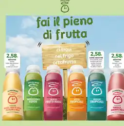 Basko innocent super smoothie ANTIOSSIDANTE VERDE offerta