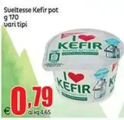 Elite Sueltesse Kefir pot offerta