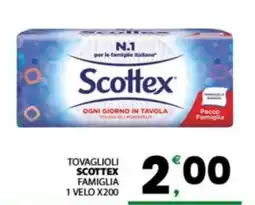Despar Sicilia Tovaglioli Scottex Famiglia offerta