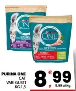 Despar Sicilia Purina One Cat Vari Gusti offerta