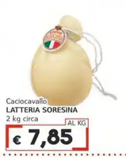Italy Cash Caciocavallo Latteria Soresina offerta