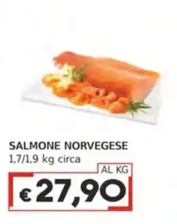Italy Cash Salmone norvegese offerta