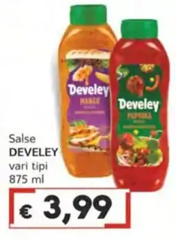 Italy Cash Salse Develey offerta