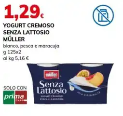 Basko Yogurt cremoso senza lattosio Müller offerta