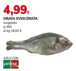 Basko Orata eviscerata offerta