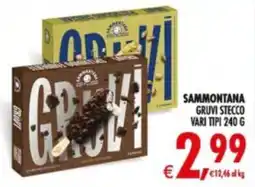Deco Supermercati Sammontana Gruvi stecco offerta