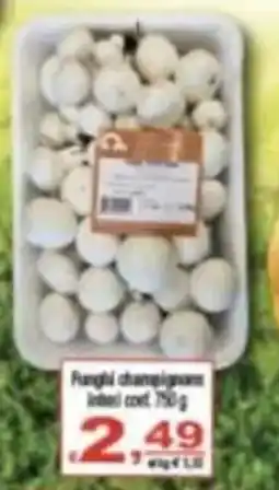 CTS Supermercati Funghi champignon offerta