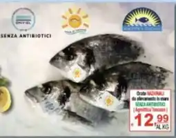 CTS Supermercati Orate nazionali offerta