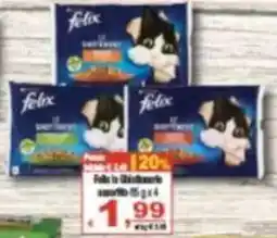 CTS Supermercati Felix in Ghiaccio con pollo offerta